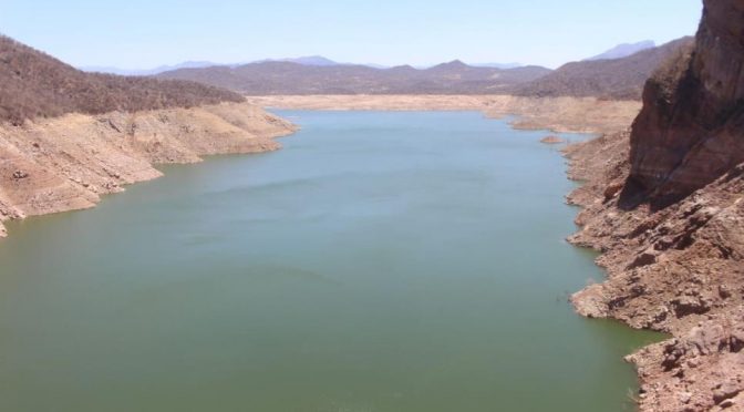 Sinaloa-Hay agua sólo para el 22 % de la superficie agrícola de Sinaloa(Luz Noticias)