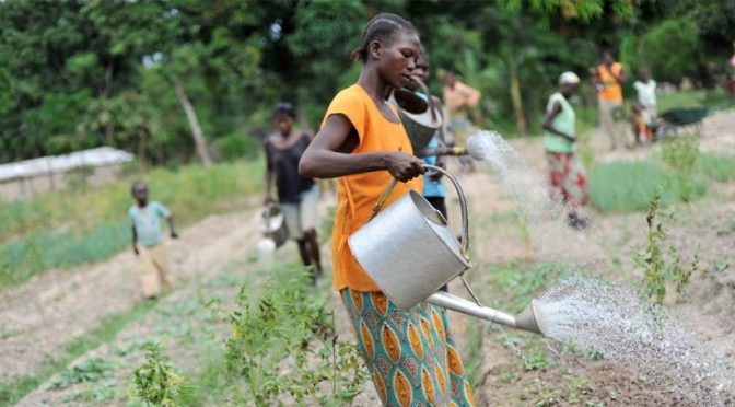 Mundo-La agricultura ofrece soluciones para la crisis del agua a escala mundial, afirma la FAO (iAgua)