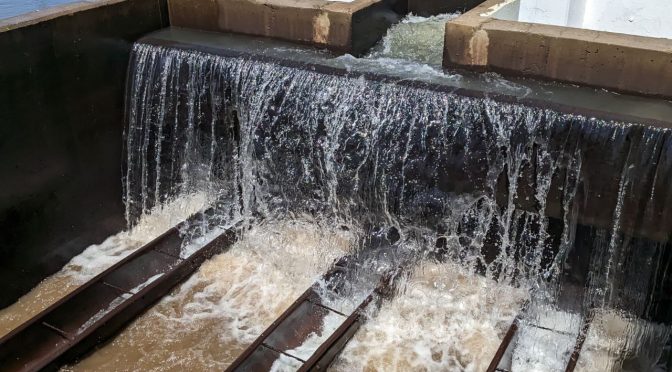 México-Garantiza Seapal calidad del agua tras creciente de los ríos por efectos de “Lidia”(ContraLinea)
