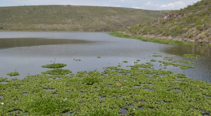 México-Más del 70 por ciento de los cuerpos de agua en México están contaminados: IMTA (Astrolabio)