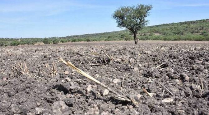 Guanajuato-Enfrenta Guanajuato la peor sequía en décadas: Robles Montenegro (El Sol de Irapuato)