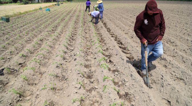 Puebla-Escasez de agua en Tehuacán es por alteración climática y no por avionetas anti lluvias: Concytep (Reto Diario)