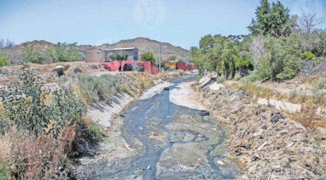 Chihuahua-Hallan contaminación en 9 de 11 cuerpos de agua (El Diario mx)