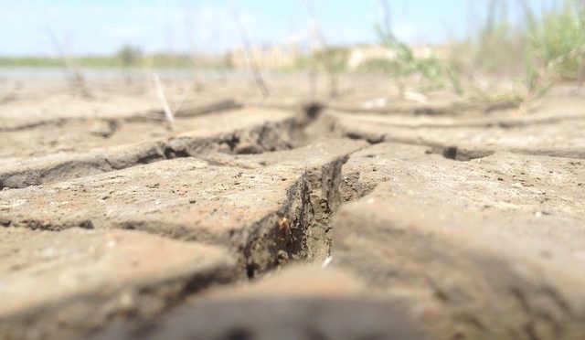 México-Hay sequía de interés en temas de campo y agua (El Heraldo)