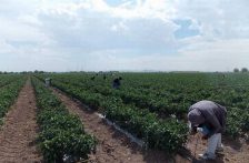 Aguas Calientes – ¿El campo realmente desperdicia agua? Autoridades aseguran que Aguascalientes ya tecnifica el riego y apuesta por el ahorro ( El Sol del Centro)