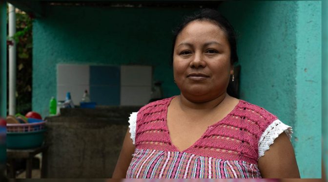 México-Gestoras comunitarias del agua garantizan el acceso seguro para miles de personas con cuidado y sostenibilidad (Animal Político)