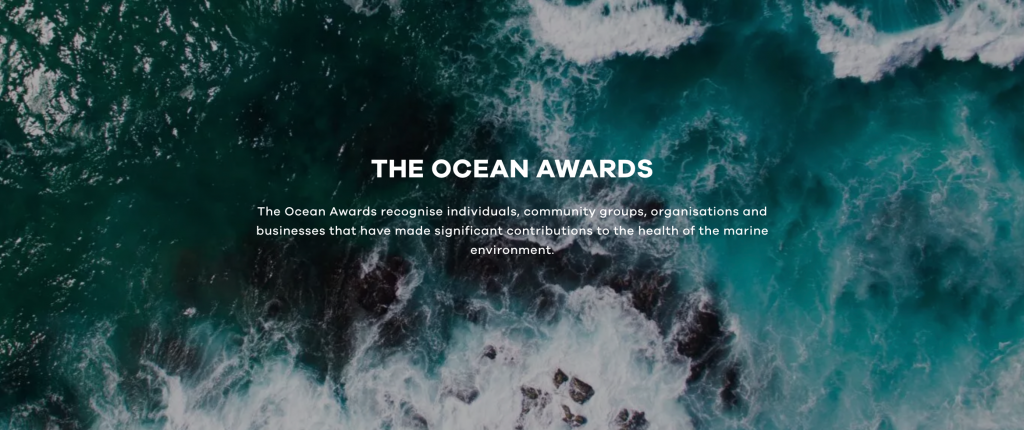The Ocean Awards (Blue Marine Foundation) – Agua.org.mx