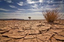 Internacional-El proyecto DRYLAND analiza el impacto de la sequía sobre el carbono y la calidad del agua en alta montaña (CREAF)