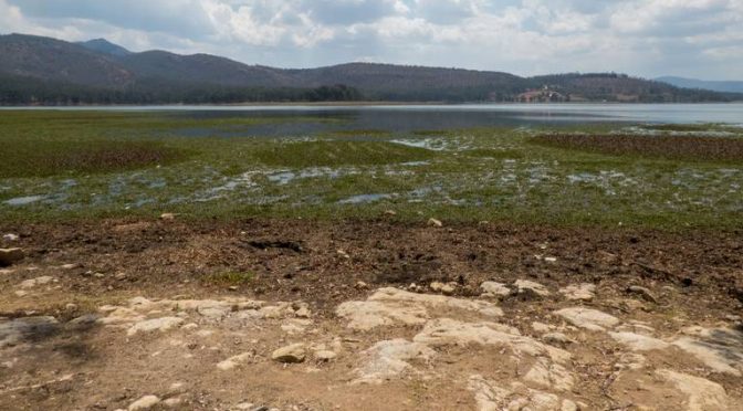 México-Advierten crisis de agua por cambio de suelo en la región Lerma-Chapala (El Sol de Zamora)