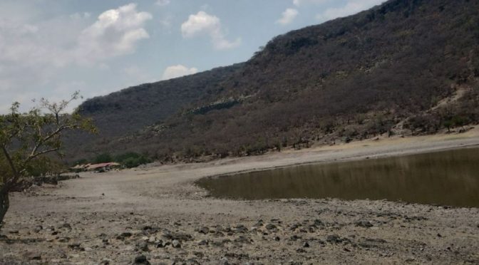 Guanajuato- Gobierno de Guanajuato manda tandeos, pero 14 zonas de Salamanca no tienen agua potable (Periódico Correo)