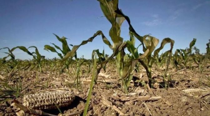 Hidalgo-Sequía no da tregua en Hidalgo, 14 municipios presentan condición excepcional: Conagua (am)