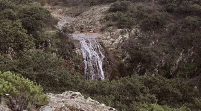 Guanajuato- ¿Se puede aprovechar agua que escurre de la Sierra Gorda? Esto es lo que se sabe (am)