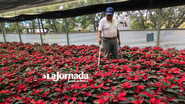 EdoMex-Texcoco: Floricultores se enfrentan a la falta de agua (La Jornada)