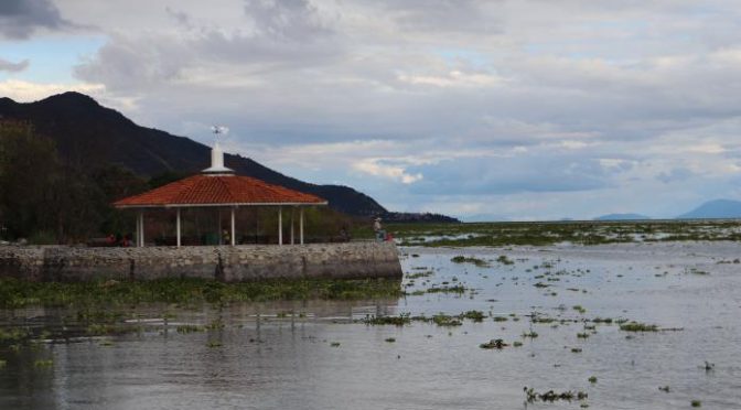 Jalisco-De nuevo, invaden el Lago de Chapala y la Conagua ni sus luces (UDG TV)