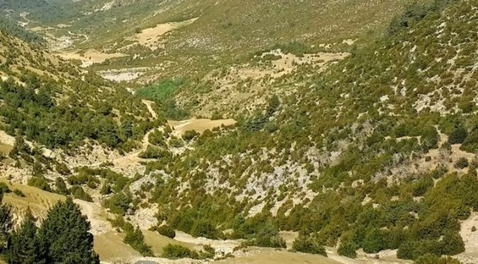 Mundo-Cataluña pasa por la peor sequía de la historia (Papernest)