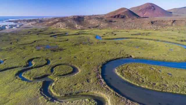 Internacional-COP28: Suman 40 países en plan para restaurar ríos y humedales impulsado por México (Forbes)