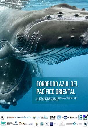 Corredores Azules del Océano Pacífico Oriental, Oportunidades y Acciones para Proteger a las Ballenas Migratorias (WWF)