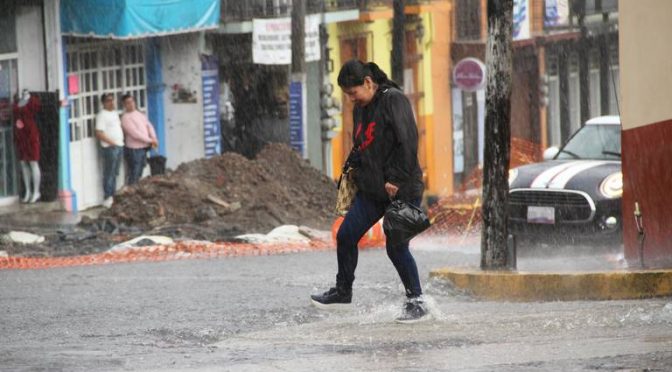 Veracruz – Agua de lluvia, un recurso ignorado por habitantes y autoridades (Diario de Xalapa)