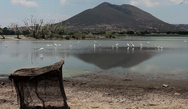 Querétaro – Desalentador escenario por sequía, ve Redes del Agua (Diario de Querétaro)