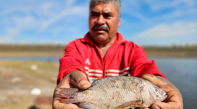 Querétaro-Presa de la Estancia, sin peces y poco turismo para sobrevivir, denuncian contaminación (Al Diálogo Querétaro)