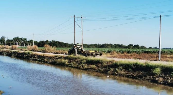 Sinaloa-Crisis agrícola en Sinaloa: falta de agua y siembra sin planeación amenazan la producción (El Sol de Sinaloa)