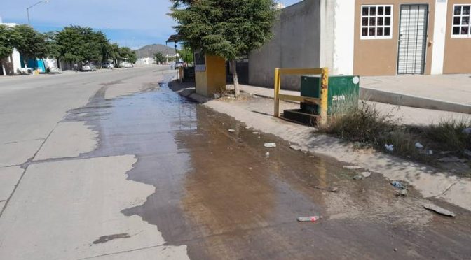 Sinaloa: ¡Una más! Vecinos de Pradera Dorada reportan fuga de agua (El Sol de Mazatlán)