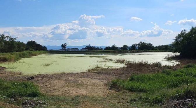 Morelos-Bajo nivel de presas pone en riesgo el ciclo agrícola de Morelos (El Sol de Cuautla)