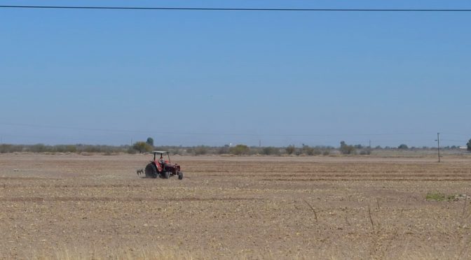 Coahuila – Tecnificación tendrá que esperar hasta que termine ciclo agrícola en Comarca Lagunera (El Siglo de Torreón)