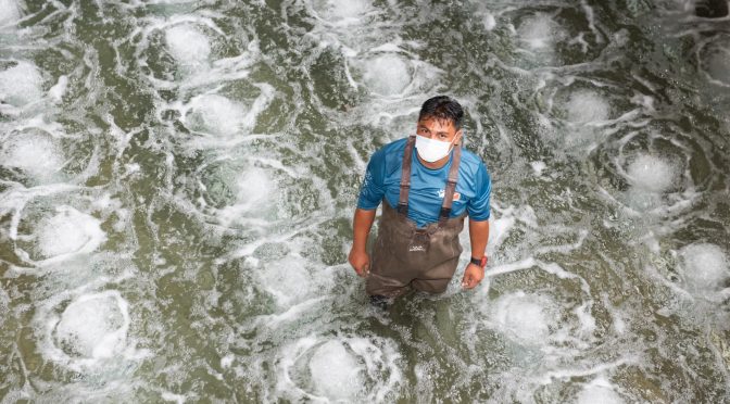 México – El mundo se seca y la industria del reúso del agua desarrolla tecnología para evitarlo (Wired)