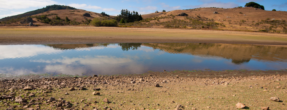 Guanajuato – Así va el nivel de agua en la presa ‘El Palote’ en León 2024: porcentaje reportado al inicio de septiembre (Milenio)