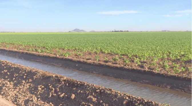 Sonora- Incrementa la acumulación de agua en la zona agrícola de Sonora (Expreso)