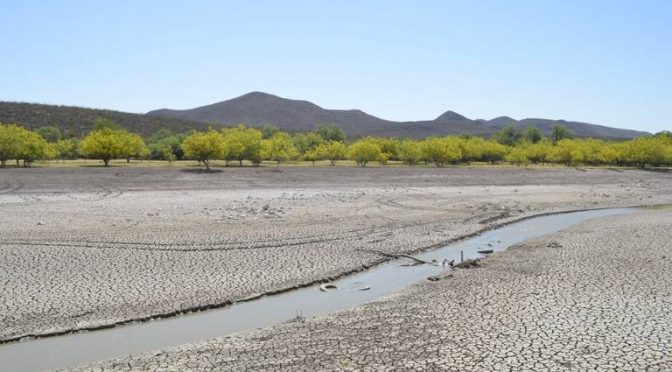 Chihuahua – Necesaria la comunicación interinstitucional para frenar extracciones ilegales de agua: Reyes (El Heraldo de Chihuahua)