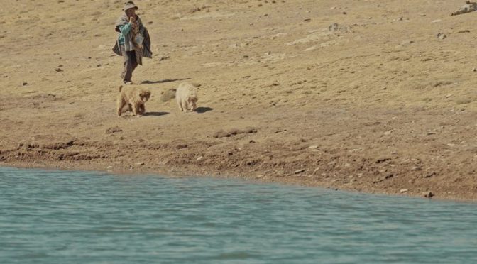 Mundo – Comunidad alpaquera de Perú conserva el agua para no desaparecer (IMER)