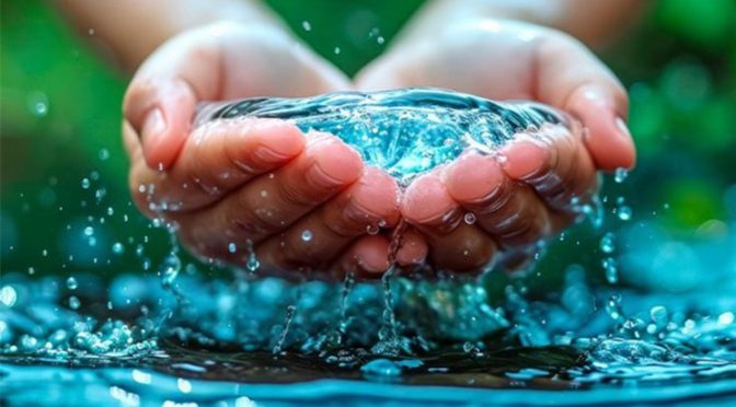 Mundo – Día Mundial del Agua 2024, Importancia, historia y curiosidades del agua (Iberdrola)