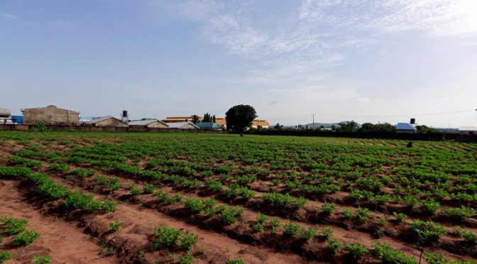 México-Regar cultivos con aguas residuales tratadas, una solución a la sequía: UNAM (Aristegui Noticias)