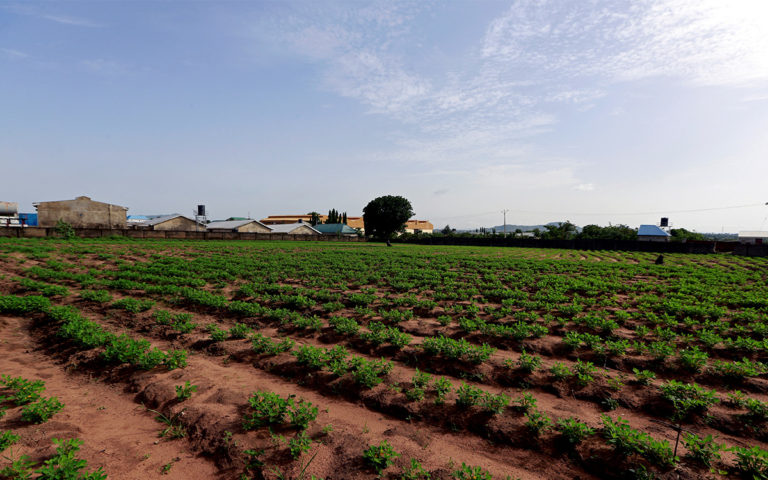 México-Regar cultivos con aguas residuales tratadas, una solución a la sequía: UNAM (Aristegui Noticias)
