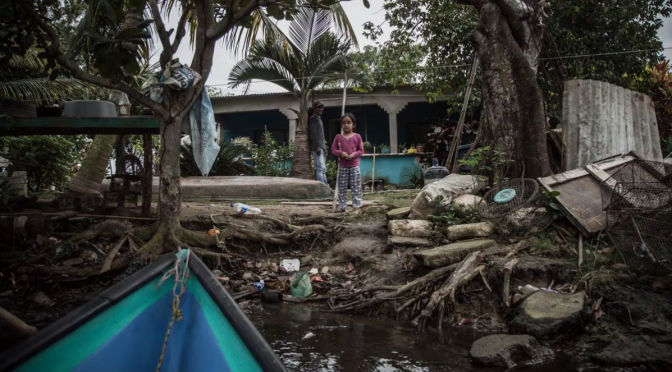 Veracruz-La falta de acceso a agua limpia amenaza Bajo Papaloapan, cuna de la cultura jarocha (El País)