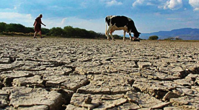 México-Sequía prende focos rojos en 13 entidades del país, incluida CDMX; uso agrícola también (Crónica)