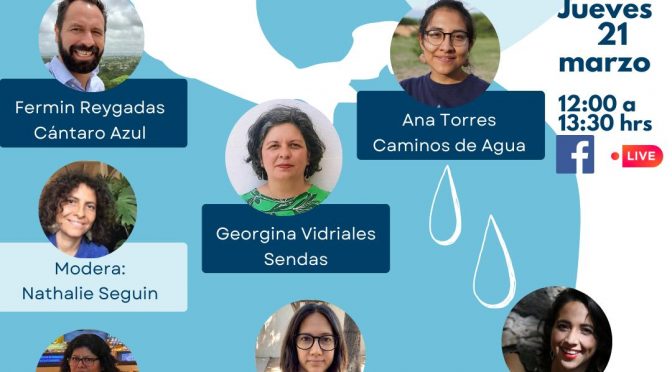 Realidades, retos y estrategias para México (Redes del Agua)