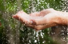 Chiapas-Claves para el ahorro de agua en el hogar durante la reducción del suministro en Tapachula (Diario del Sur)