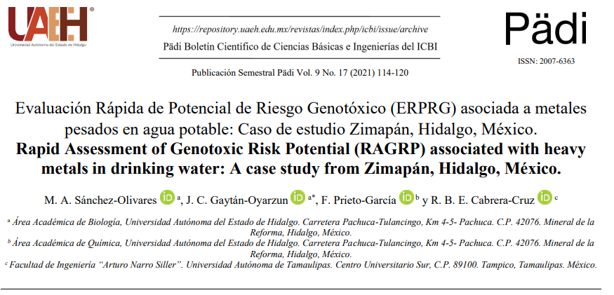 Evaluación Rápida de Potencial de Riesgo Genotóxico (ERPRG) asociada a metales pesados en agua potable: Caso de estudio Zimapán, Hidalgo, México.
