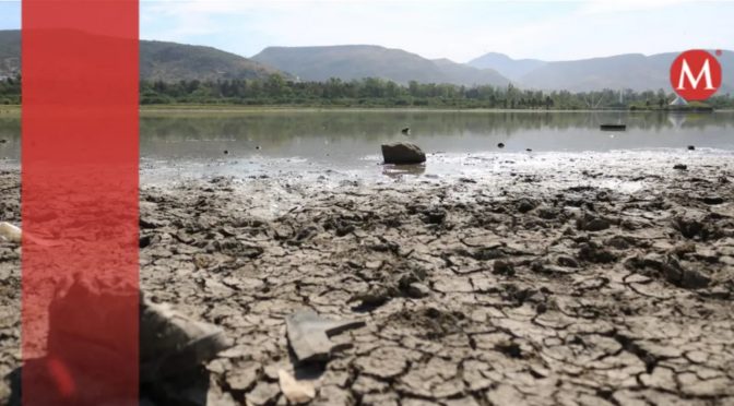 Tampico – Queda agua para 10 días, refieren habitantes de zonas rurales de Altamira (Milenio)
