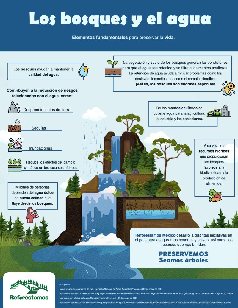 Infografía-Los Bosques y el Agua (Reforestamos México)