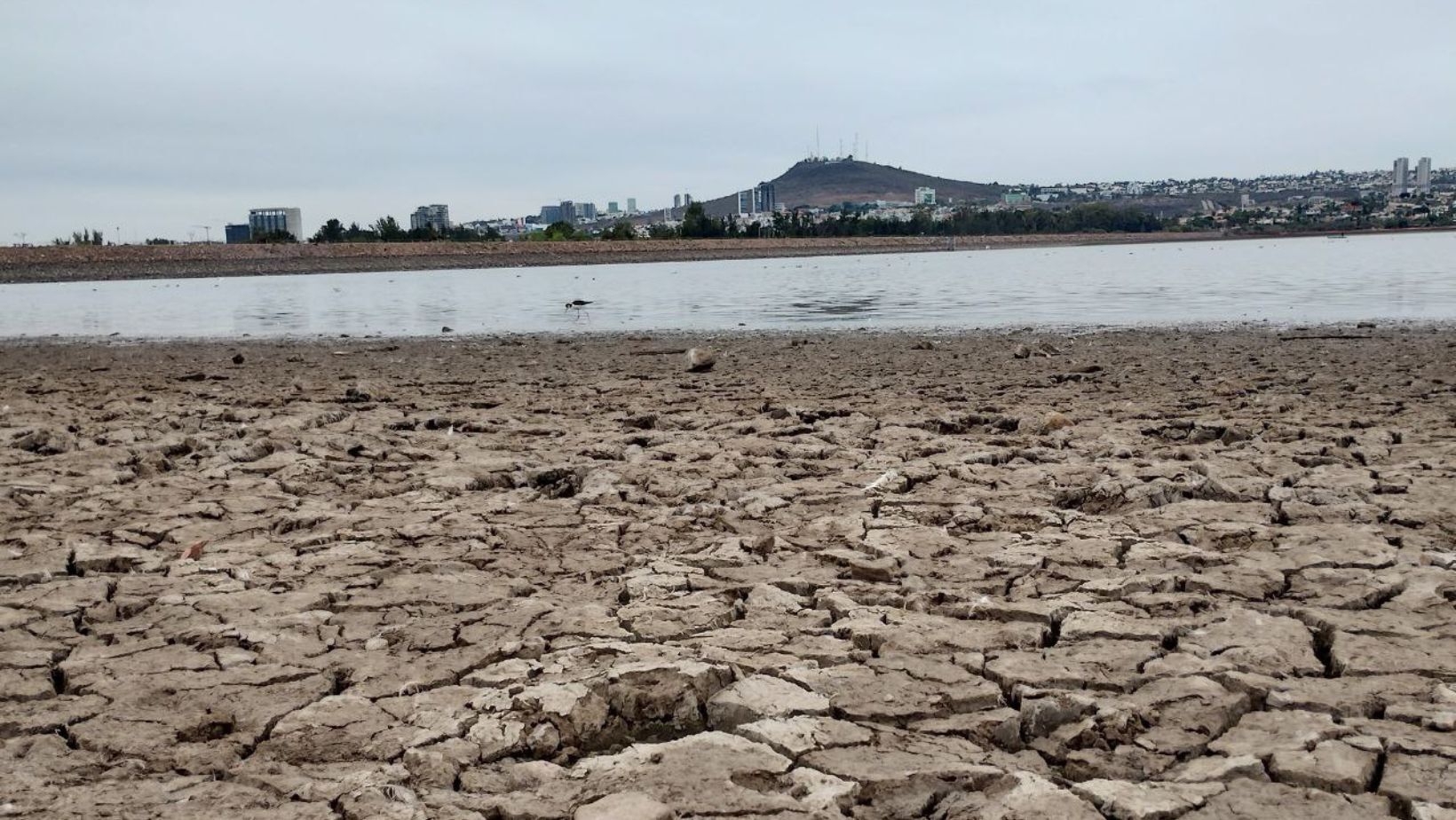 Guanajuato-¡Baja nivel de la Presa del Palote en León al 3%! Sapal multa a quien desperdicie el agua, esto cuesta (Periódico Correo)