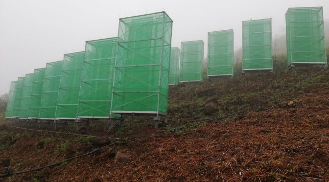 Mundo-Redes que “ordeñan” la niebla y generan agua en su lugar: el invento de Canarias para combatir la sequía (Xataka)