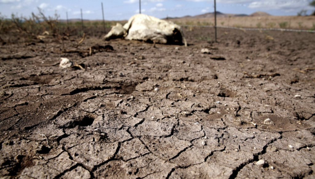 Durango – Serio problema por el agua en Durango: Manuel Herrera (La Voz de Durango)