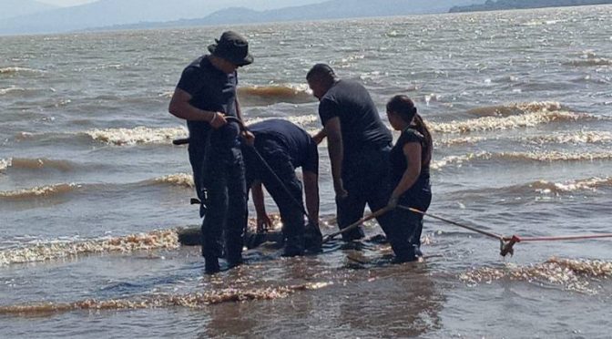 Michoacán – Deshabilitan otra toma ilegal de agua en el Lago de Pátzcuaro (El Sol de Zamora)