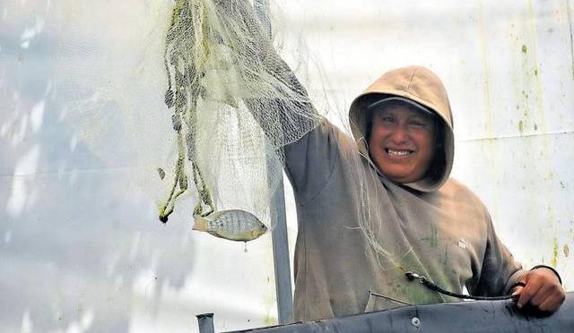 México – Cultivan mojarras con agua de lluvia en Domingo Arenas (El Sol de Tlaxcala)