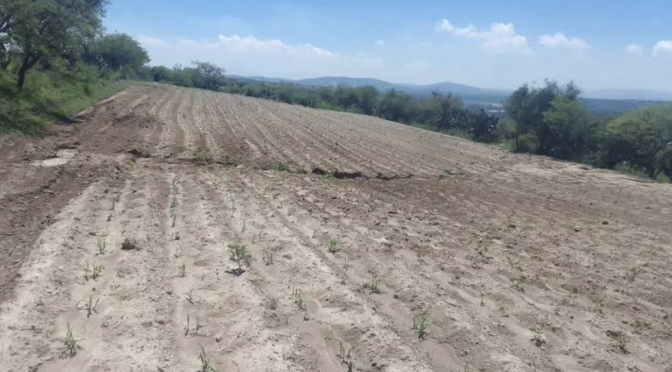 Hidalgo- Campesinos exigen a Conagua más volumen de aguas negras (Vía Libre)