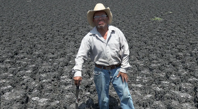 Oaxaca – Campesinos indígenas de Oaxaca crean sistema para captar agua ante sequía (López Dóriga)